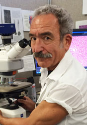 Vladimir Michael Subbotin, MD, MSPH